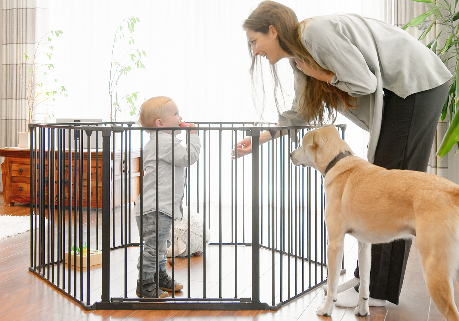 IMPAG® Laufstall SafeOne® 360 - 575 cm [5-tlg. bis 8-tlg.]