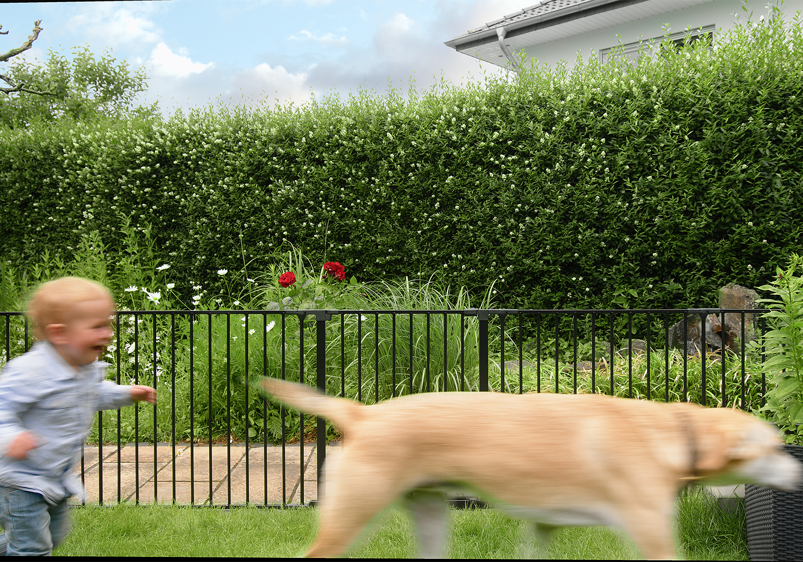 IMPAG® Absperrgitter SafeOne® Teichschutz 215 cm - 11,50 m [3-tlg. bis 16-tlg.]