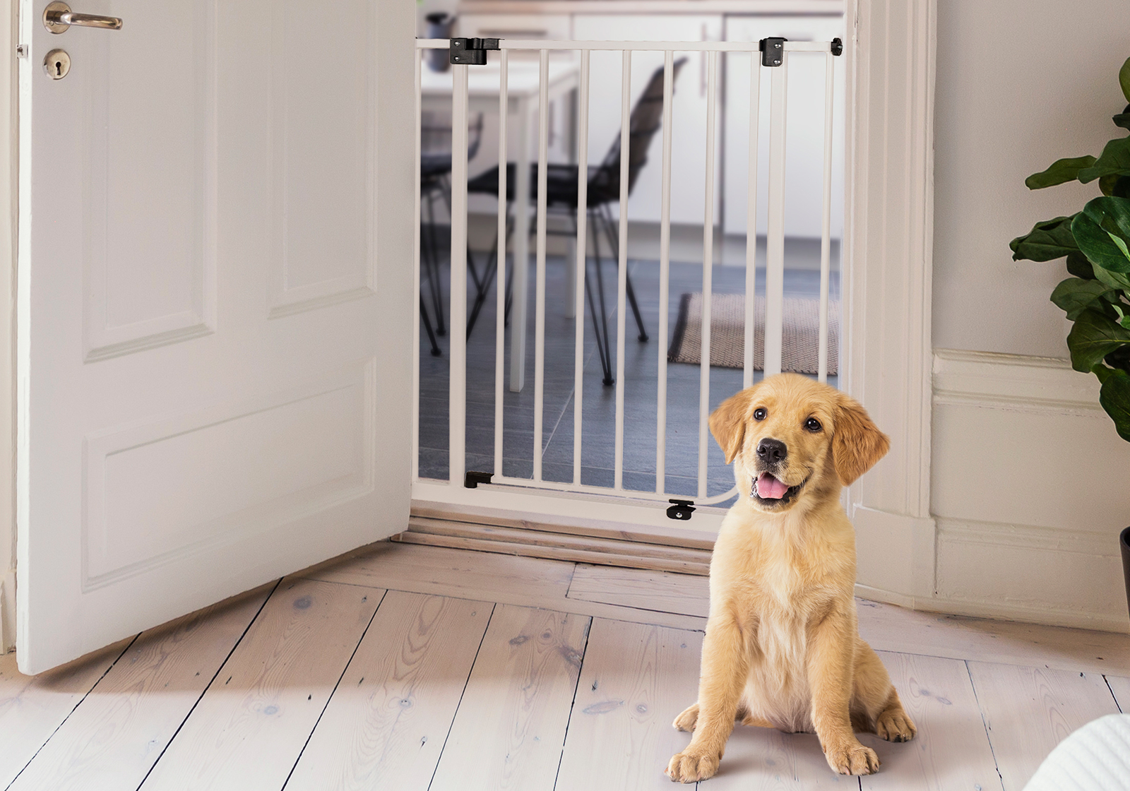 IMPAG® Hundeschutzgitter Dino 107 cm hoch 75 - 149 cm