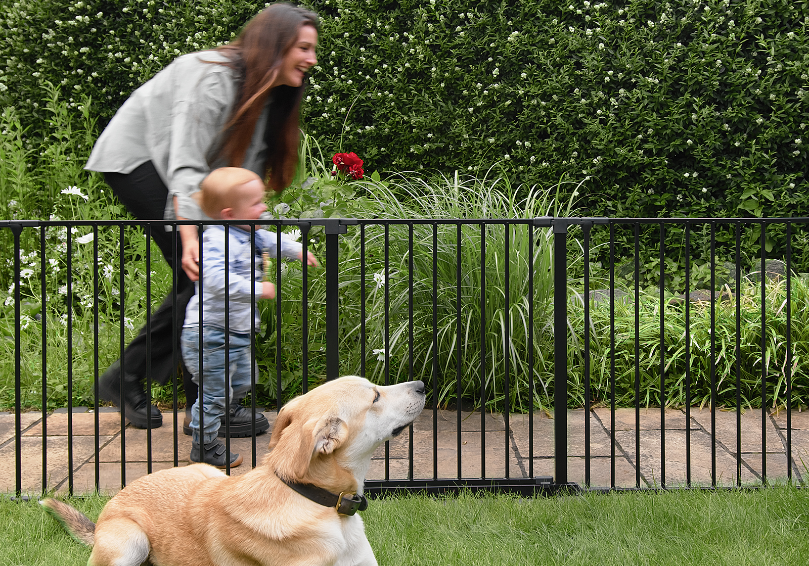 IMPAG® Absperrgitter SafeOne® Teichschutz 215 cm - 11,50 m [3-tlg. bis 16-tlg.]