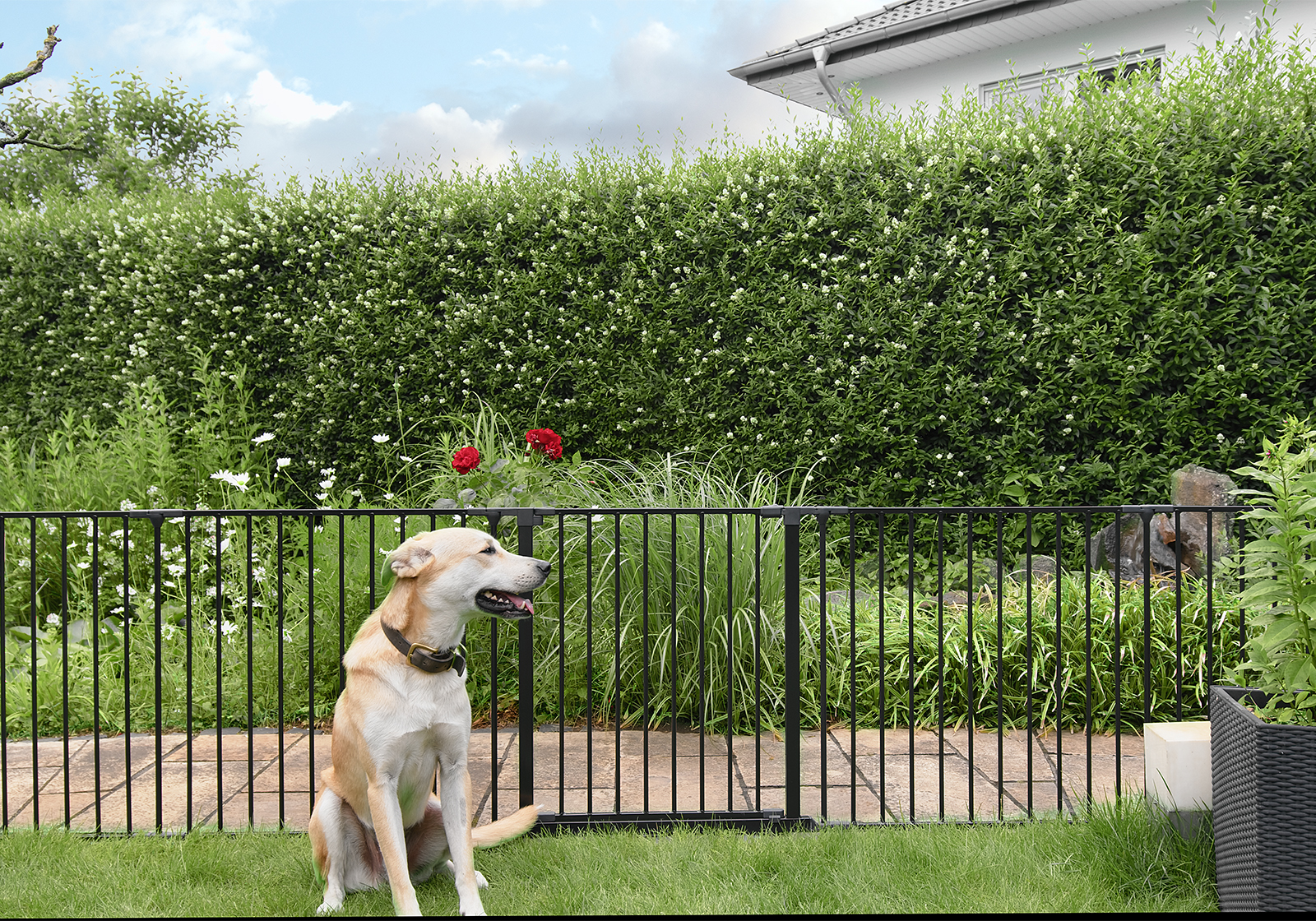 IMPAG® Absperrgitter SafeOne® Teichschutz 215 cm - 11,50 m [3-tlg. bis 16-tlg.]